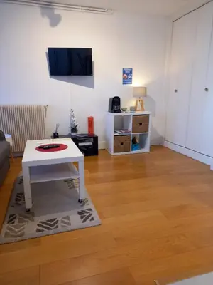 Télévision ou salle de divertissement dans l'établissement Superbe STUDIO (28m2) avec terrasse / vue TOUR EIFFEL / PUTEAUX