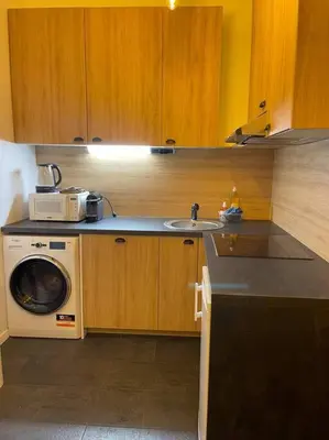Cuisine ou kitchenette dans l'établissement Appartement paris 16 eme