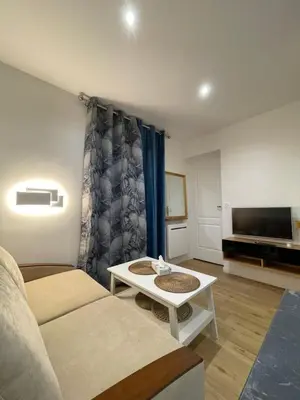 Télévision ou salle de divertissement dans l'établissement Montmartre Cosy