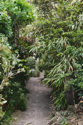 Jardin de l'établissement Le Grand Maulnes