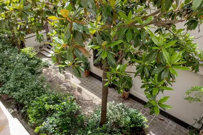 Jardin de l'établissement Pick A Flat's Apartment in Saint-Germain des Près - Rue Paul Louis Courier