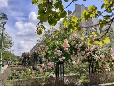 Jardin de l'établissement Marie et Igor