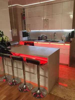 Cuisine ou kitchenette dans l'établissement Appartement Belle Feuille