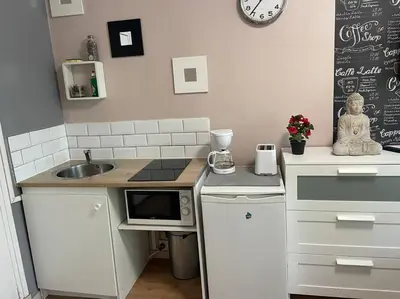Cuisine ou kitchenette dans l'établissement Studio Montsouris