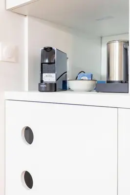 Cuisine ou kitchenette dans l'établissement Luxury Living in Louvre