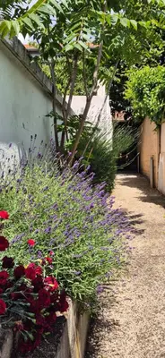 Jardin de l'établissement House - Sunlit haven with outdoor terrace, garage and metro 14, RER B