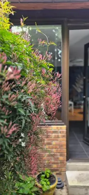 Jardin de l'établissement House - Sunlit haven with outdoor terrace, garage and metro 14, RER B