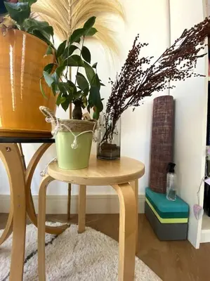 Plan de l'établissement Paris : superbe appartement au coeur du Marais