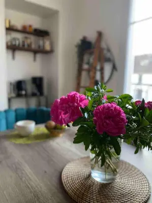 Plan de l'établissement Paris : superbe appartement au coeur du Marais