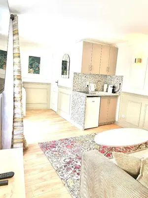 Cuisine ou kitchenette dans l'établissement Suite Adèle Passy