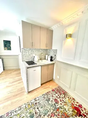 Cuisine ou kitchenette dans l'établissement Suite Adèle Passy