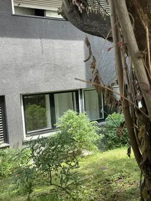 Jardin de l'établissement joli studio paris 16 Victor Hugo