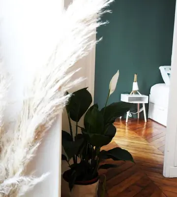 Plan de l'établissement Appartement Haussmanannien Cosy - République