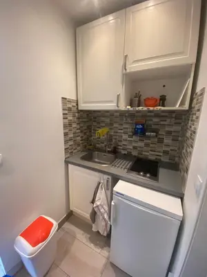 Cuisine ou kitchenette dans l'établissement Small studio near Eiffel Tower