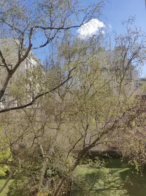 Paysage naturel près de l'appartement