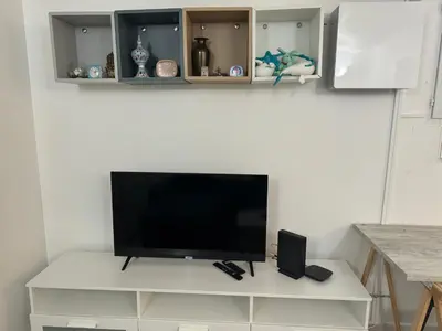Télévision ou salle de divertissement dans l'établissement Charming intim apartment in Paris South