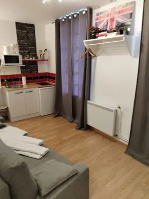 Cuisine ou kitchenette dans l'établissement Studio Rue de la Santé
