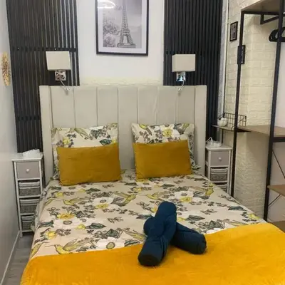 paris beautiful cozy studio
