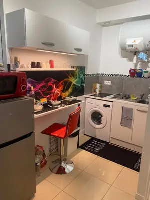 Cuisine ou kitchenette dans l'établissement Paris Sud-porte de Gentilly mignon T2 250 m de Paris