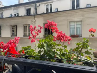 Jardin de l'établissement L'authentique vie parisienne