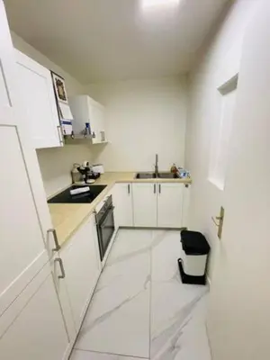 Cuisine ou kitchenette dans l'établissement Appart Champs Élysée bagatelle - 4 pers