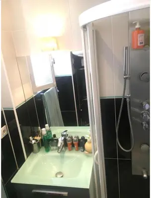 Salle de bains dans l'établissement Charmant appartement à Montmartre