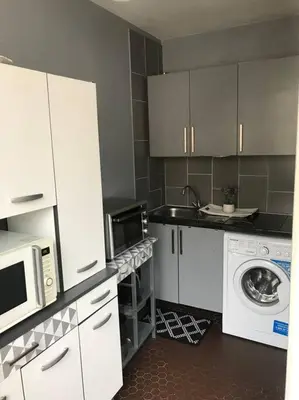 Cuisine ou kitchenette dans l'établissement Cosy studio Paris Wagram