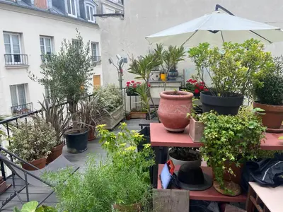 Jardin de l'établissement Aux Terrasses de la Lune