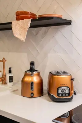 Cuisine ou kitchenette dans l'établissement Luxuous loft in the jourdains'village-Imhost