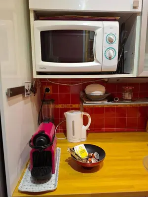 Cuisine ou kitchenette dans l'établissement Vue Tour Eiffel Paris 13