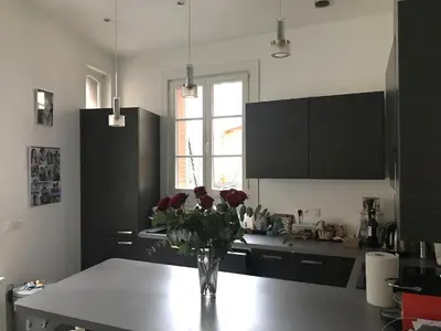 Cuisine ou kitchenette dans l'établissement Superbe maison individuelle dans Paris