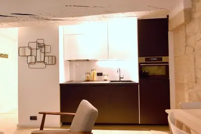 Cuisine ou kitchenette dans l'établissement Cosy flat - Saint germain