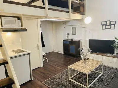 Télévision ou salle de divertissement dans l'établissement La Pause - Wifi - Champs Élysées - 4 Prs