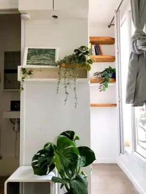 Plan de l'établissement Green cozy studio au cœur de Paris