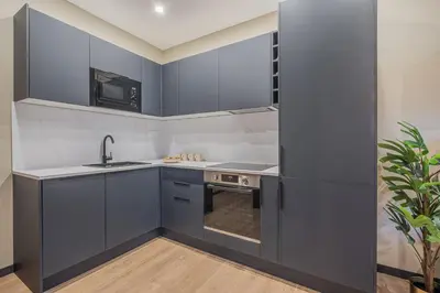 Cuisine ou kitchenette dans l'établissement Résidence Le Belleville