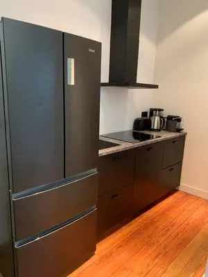 Cuisine ou kitchenette dans l'établissement Appartement 3 chambres Paris 7e