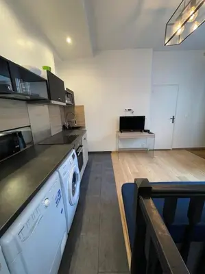 Cuisine ou kitchenette dans l'établissement confortable appartement 3 pièces Flatters