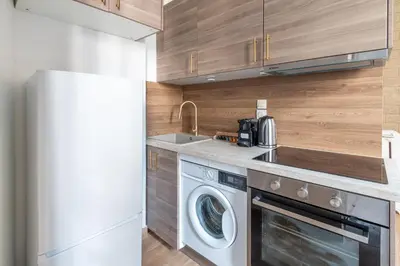 Cuisine ou kitchenette dans l'établissement Appartement Métro Alexandre Dumas