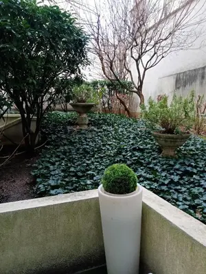 Jardin de l'établissement Studio Cosy avec terrasse face au parc des expositions