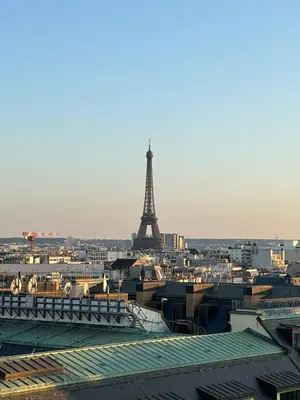 Plan de l'établissement Appartement vue Tour Eiffel, proche Champs Élysée.