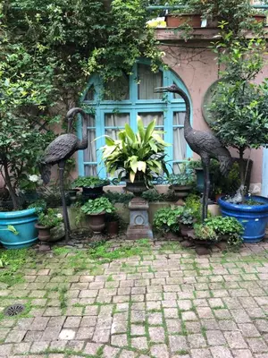 Jardin de l'établissement 