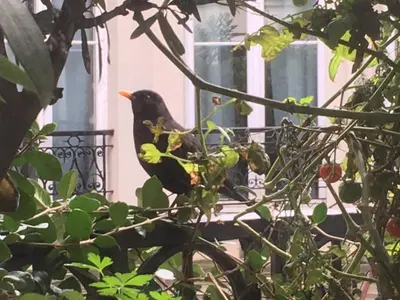 Jardin de l'établissement Studio 6