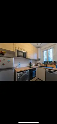 Cuisine ou kitchenette dans l'établissement Appartement parisien (12ème)