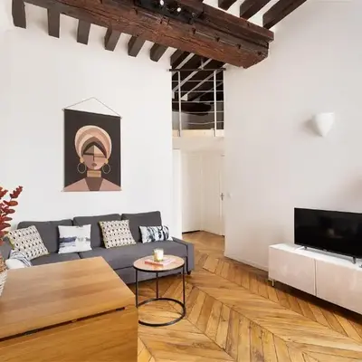 Louvre & Chatelet-1BR Cosy Apt