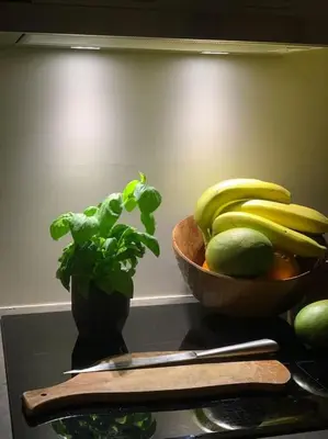Nourriture dans l'appartement ou à proximité