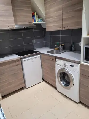 Cuisine ou kitchenette dans l'établissement L'appartement Idéal 4 voyageurs