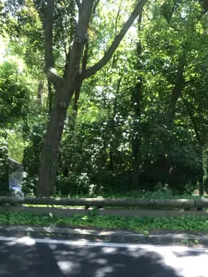 Paysage naturel près de le séjour chez l'habitant