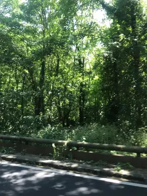 Paysage naturel près de le séjour chez l'habitant