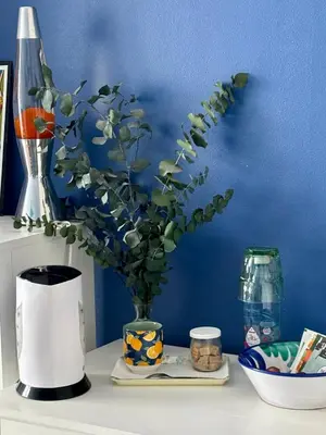 Boissons dans l'établissement Chambre calme et lumineuse en plein coeur de Paris