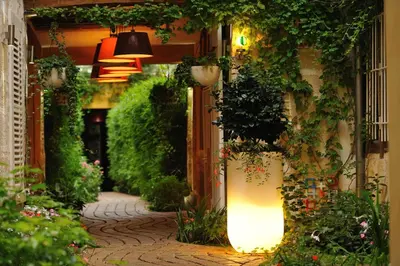 Jardin de l'établissement Les Patios du Marais 1